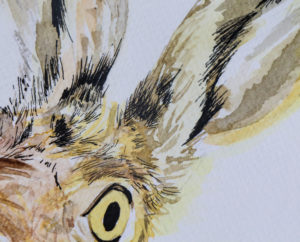 Hare artwork, uni-pin pens Illustration by Ella Johnston