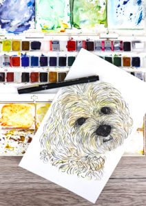 Draw your pet with uni-PIN brush pen (drawing by Ella Johnston 
