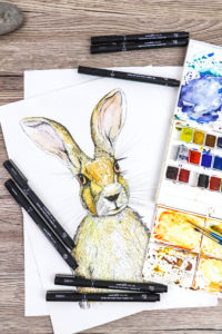 Draw your spring hare with watercolour and uni-PIN (drawing by Ella Johnston)
