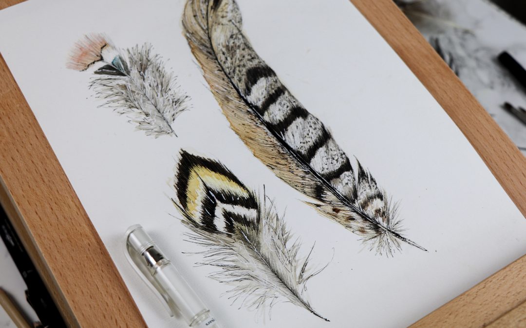 Watercolour and ink feathers art work step by step
