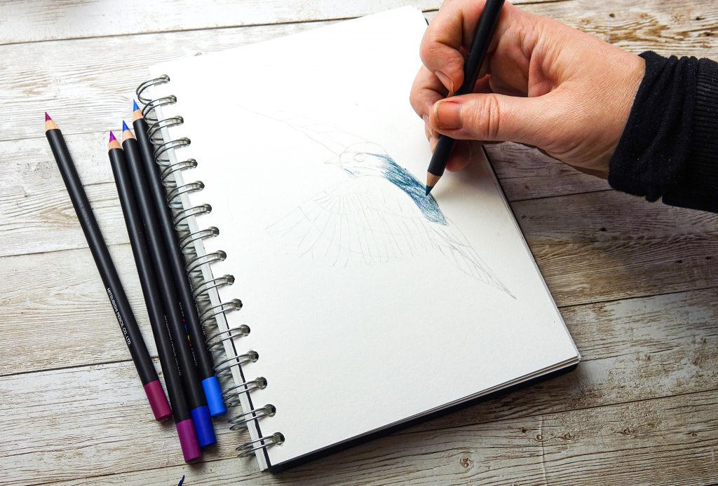 Create tonal drawings with POSCA pencil draw your outline