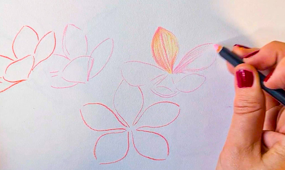 Draw delicate blossom with POSCA PENCILS